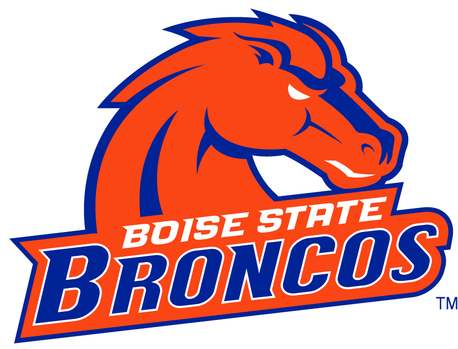 Boise State Broncos 2002-2012 Secondary Logo v27 diy iron on heat transfer